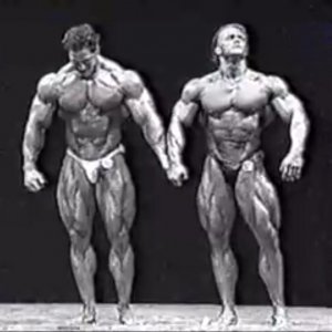 2012 Bodybuilding images