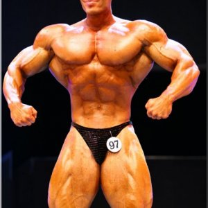 2012 Bodybuilding images