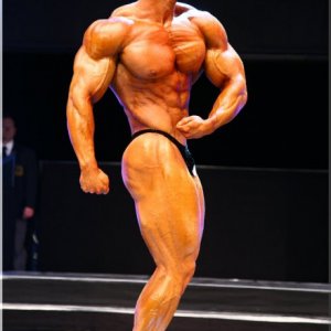 2012 Bodybuilding images