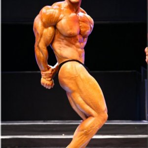 2012 Bodybuilding images