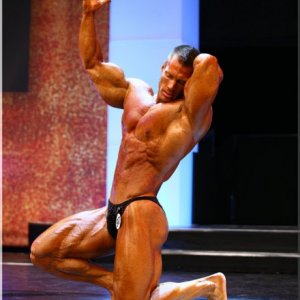 2012 Bodybuilding images