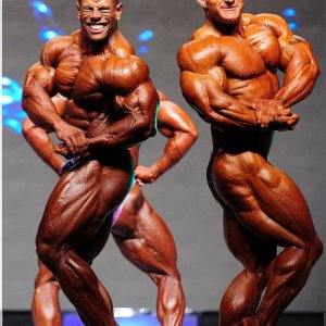 2012 Bodybuilding images