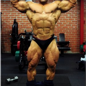 2012 Bodybuilding images