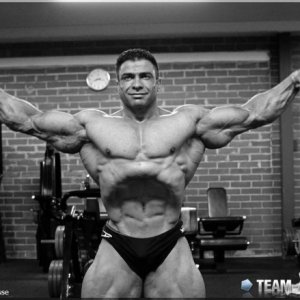 2012 Bodybuilding images