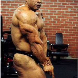 2012 Bodybuilding images