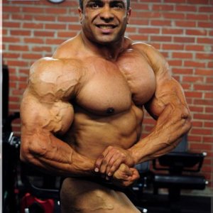 2012 Bodybuilding images