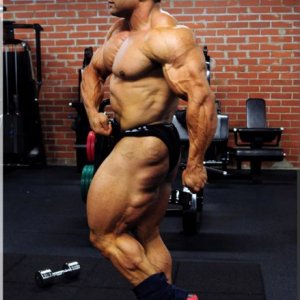 2012 Bodybuilding images