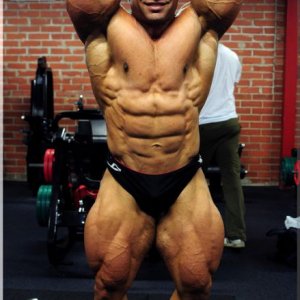 2012 Bodybuilding images