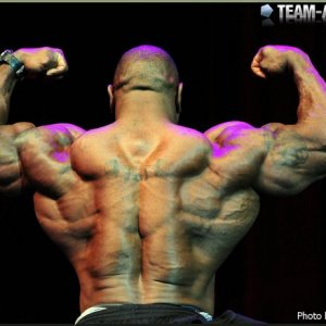 2012 Bodybuilding images