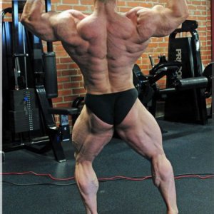 2012 Bodybuilding images