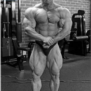 2012 Bodybuilding images