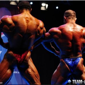 2012 Bodybuilding images