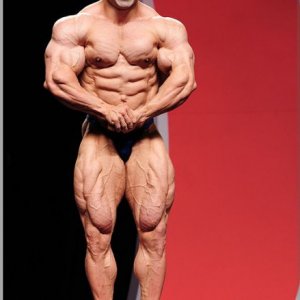 2012 Bodybuilding images