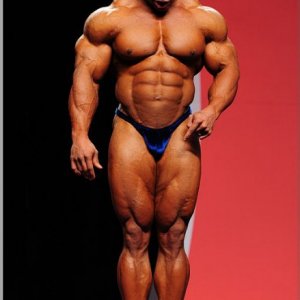 2012 Bodybuilding images