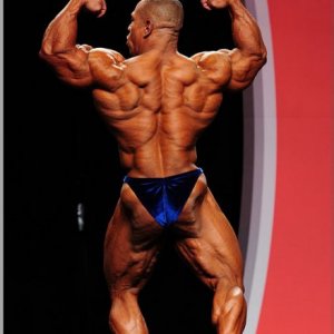 2012 Bodybuilding images