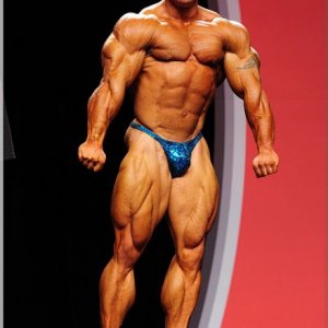 2012 Bodybuilding images