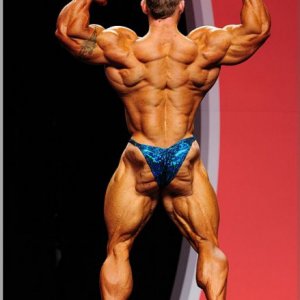 2012 Bodybuilding images