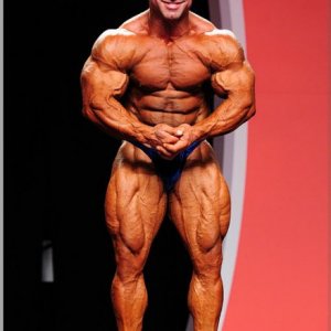 2012 Bodybuilding images