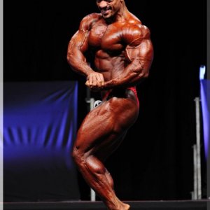 2012 Bodybuilding images