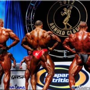 2012 Bodybuilding images