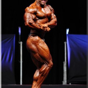 2012 Bodybuilding images