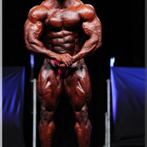 2012 Bodybuilding images