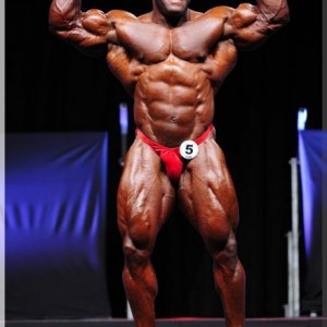 2012 Bodybuilding images