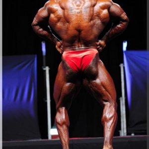 2012 Bodybuilding images