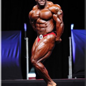 2012 Bodybuilding images