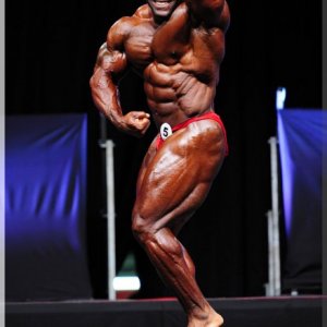 2012 Bodybuilding images