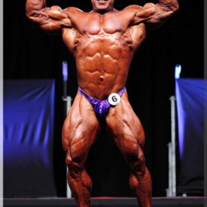 2012 Bodybuilding images