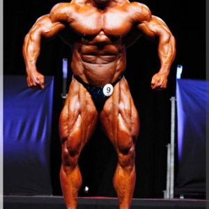 2012 Bodybuilding images