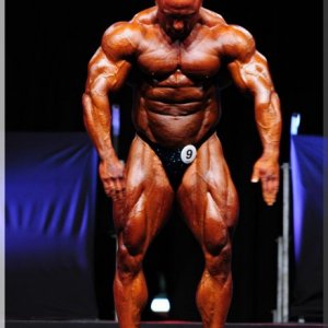 2012 Bodybuilding images