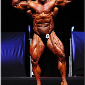 2012 Bodybuilding images