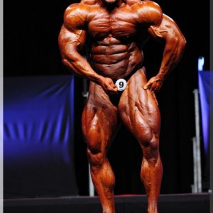 2012 Bodybuilding images