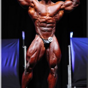 2012 Bodybuilding images