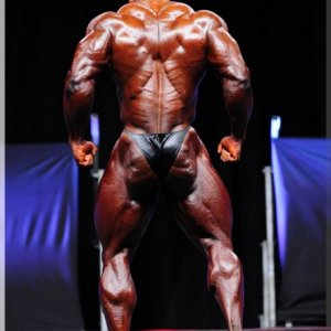 2012 Bodybuilding images