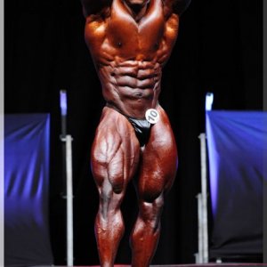 2012 Bodybuilding images