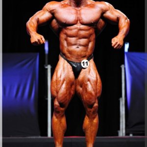 2012 Bodybuilding images