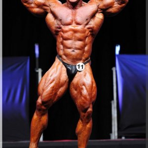 2012 Bodybuilding images