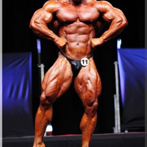 2012 Bodybuilding images