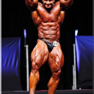 2012 Bodybuilding images