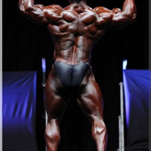 2012 Bodybuilding images