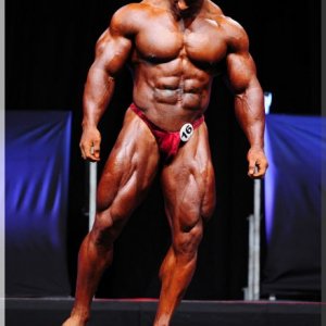 2012 Bodybuilding images