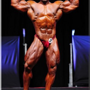 2012 Bodybuilding images