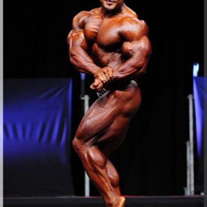 2012 Bodybuilding images