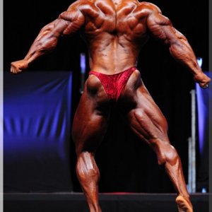 2012 Bodybuilding images