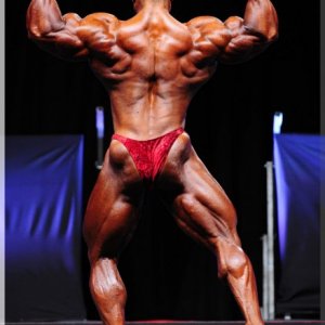 2012 Bodybuilding images