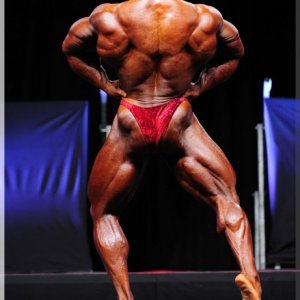 2012 Bodybuilding images