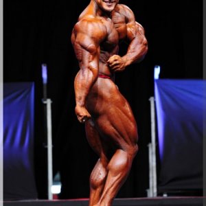 2012 Bodybuilding images